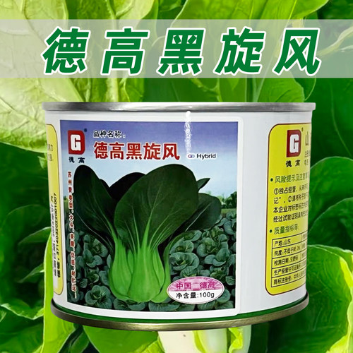 德高黑旋风青菜种子黑叶苏州青耐寒束腰青梗菜基地矮箕黑菜种籽孑