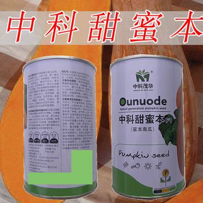 中科甜蜜本早蜜本罐装南瓜种子超甜粉面高产早熟贮运四季蔬菜种籽