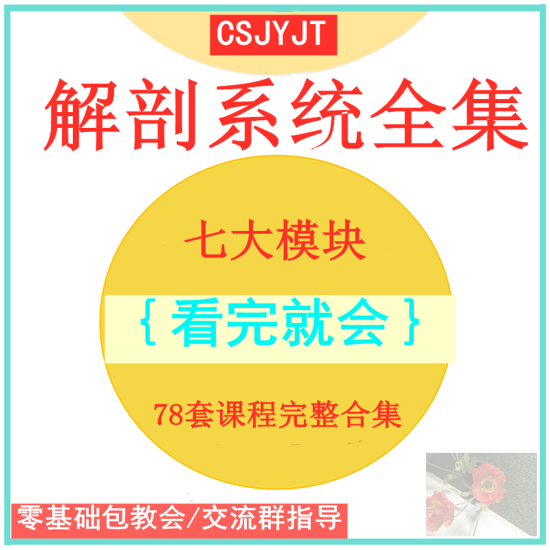解剖列车课程人体运动功能肌肉系统断层局部艾氏视频全集教学教程