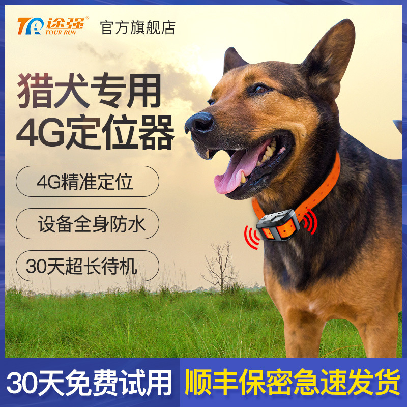 途强4G猎犬宠物gps北斗定位跟踪器牛羊狗羊驼防水长待机追踪神器