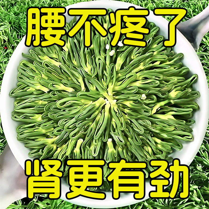 莲子心茶特级新货去肝火茶旺盛莲子芯干货正品旗舰店养生茶