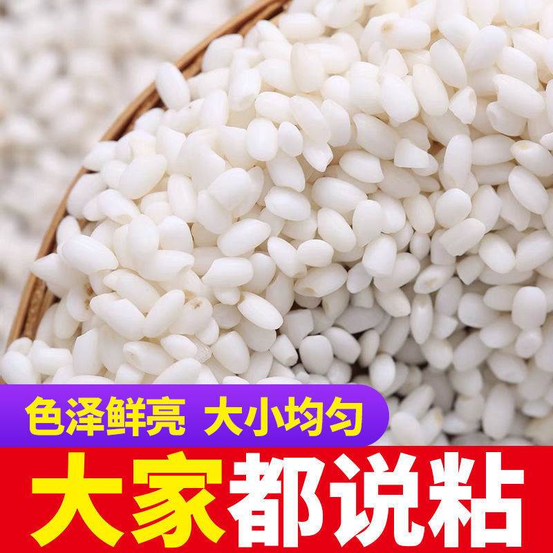 新米 东北白糯米农家自产新鲜圆粒江米香糯米粘黏大米粽子米酿酒