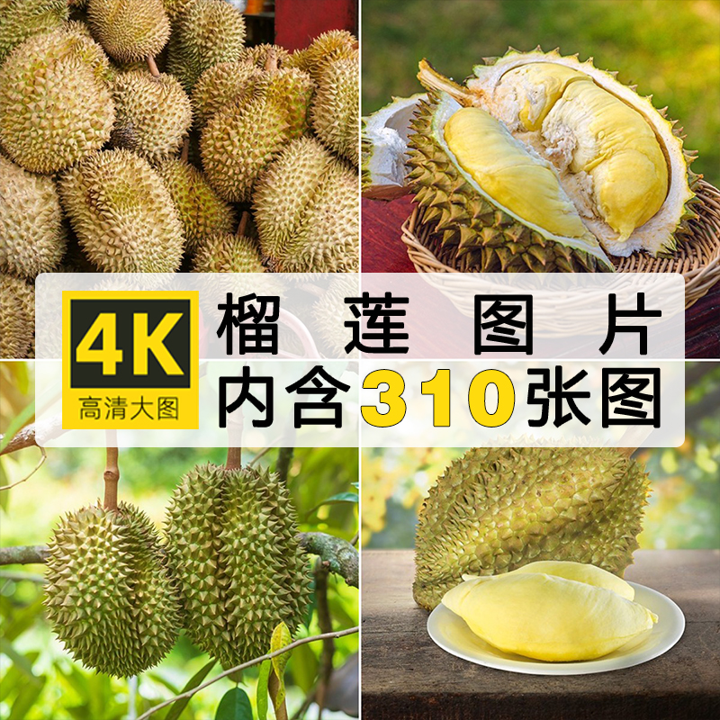高清榴莲图片水果实拍摄影照片摆拍超市生鲜外卖电商美工设计素材