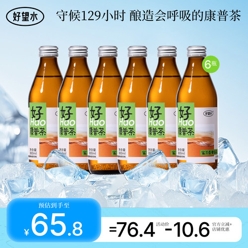 【新品上市】好望水康普茶蜜兰香单丛乌龙茶饮料气泡饮发酵玻璃瓶