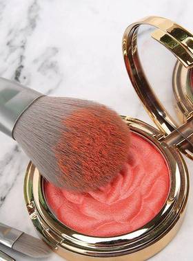 Makeup Brush Set Foundation Blush Cosmetic Make Up Brushes