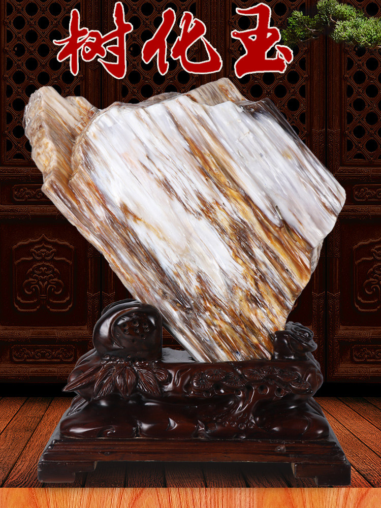 缅甸树化玉原石摆件天然冰种硅化木木化石奇石客厅景观石观赏石头