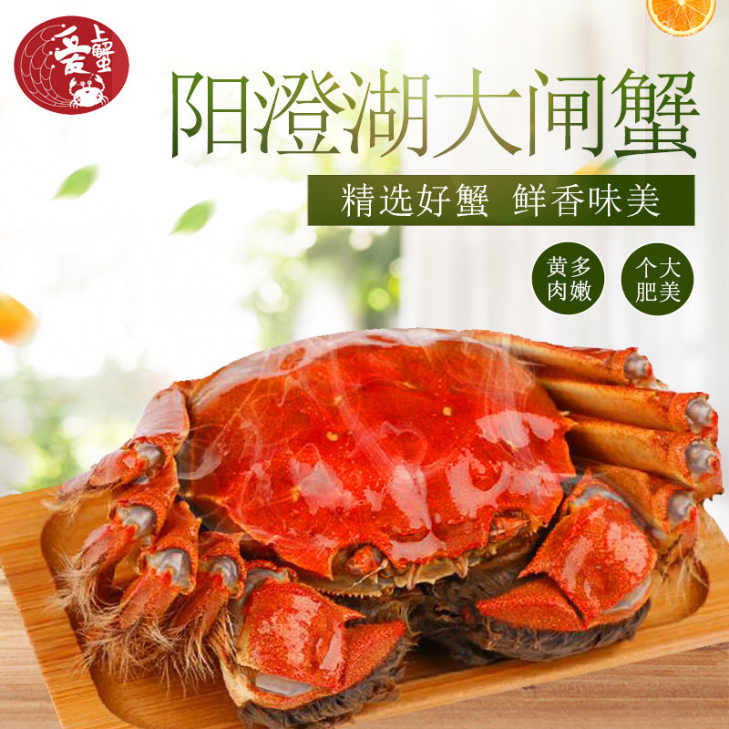 阳澄湖大闸蟹包邮价格 阳澄湖大闸蟹包邮图片 星期三