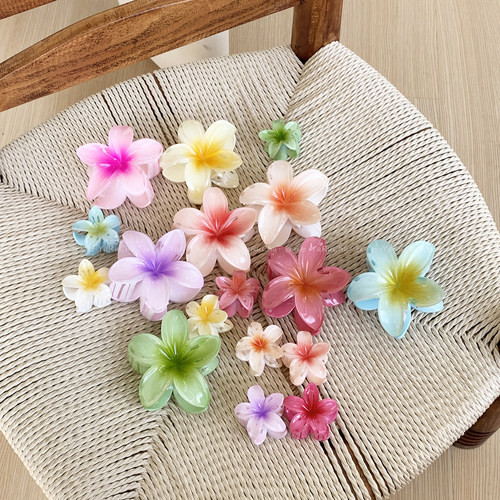 雅如初欧美彩色花朵鸡蛋花抓