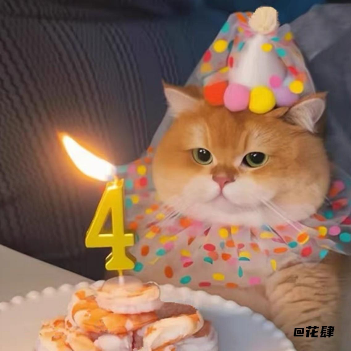 彩球圆点纱宠物生日帽宠物帽子猫咪装饰节日帽ins生日帽子围兜