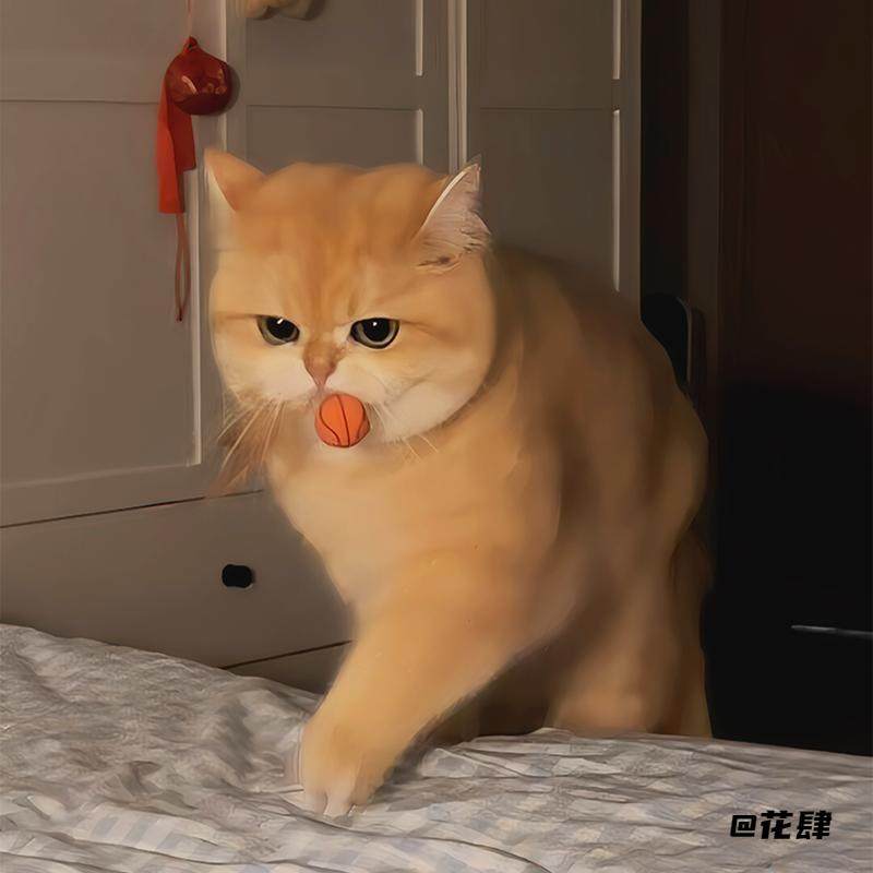 消耗体力猫咪玩具羽毛弹力球逗猫棒羽毛弹力球棒球足球猫抓球篮球,宠物/宠物食品及用品,其它服饰配件,淘宝优惠券,粉丝福利购,淘宝优惠卷