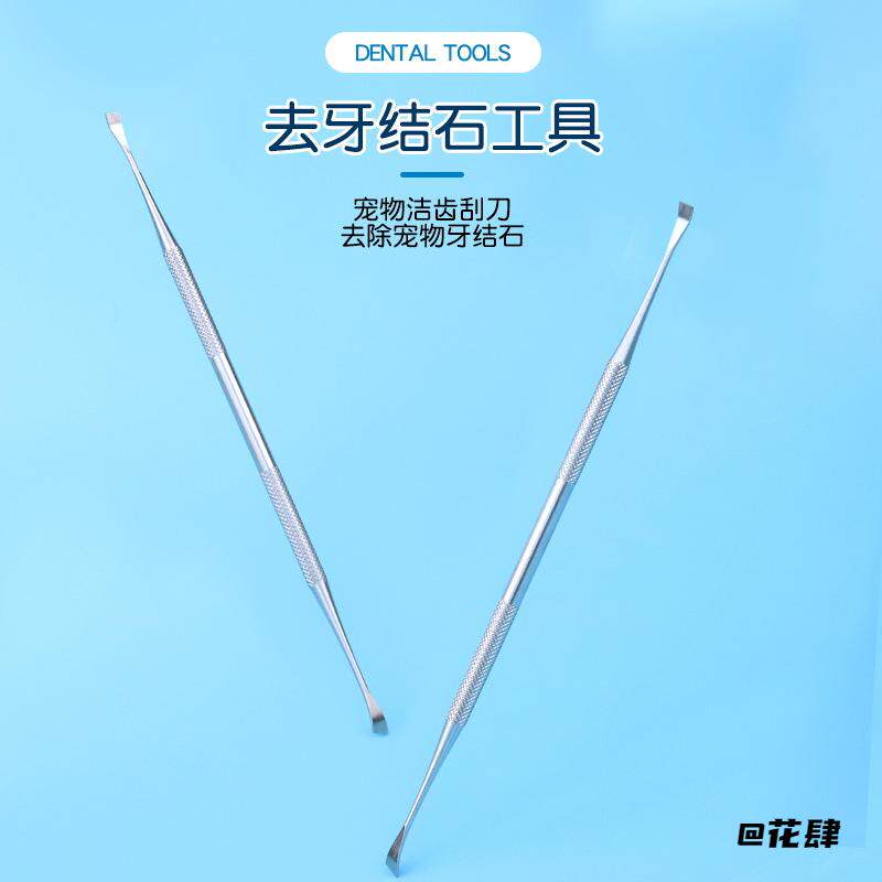牙结石尖头工具清洁犬用新款狗狗去牙结石洁齿护龈洁牙刮刀宠物