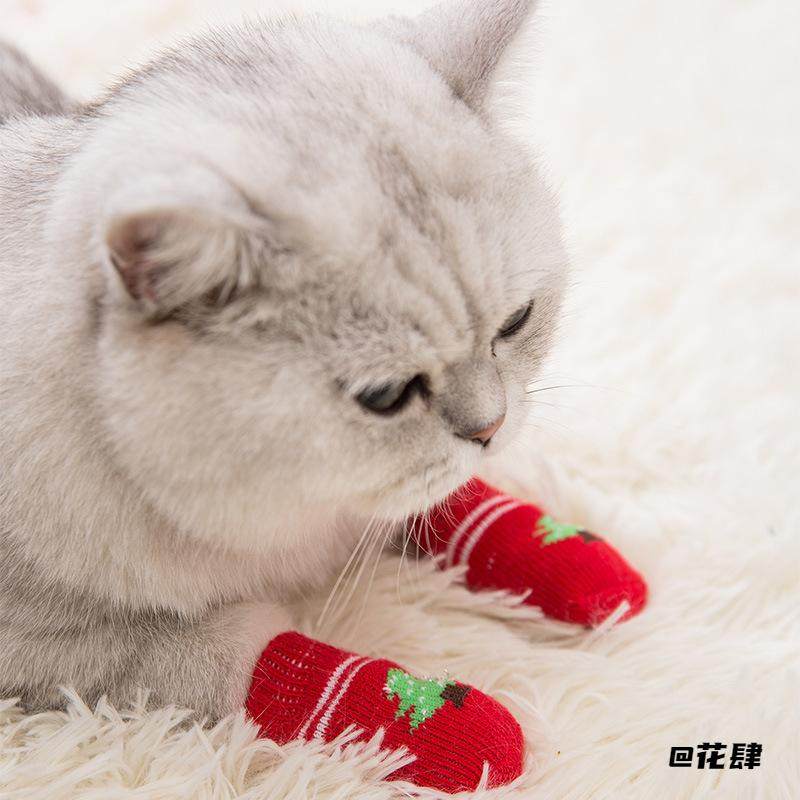 泰迪棉袜防冻脚套4只装宠物狗狗秋冬袜子宠物袜子狗狗博美腊肠,宠物/宠物食品及用品,其它服饰配件,淘宝优惠券,粉丝福利购,淘宝优惠卷