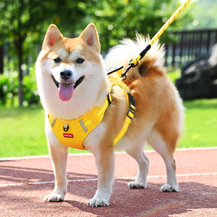 狗狗牵引绳防挣脱中小型犬柯基柴犬胸背带小狗幼犬反光遛狗绳链子