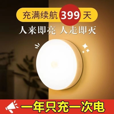 智能人体感应灯入户门卫生间起夜过道充插电式小夜灯自动亮灯