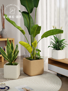 方形镁泥花盆轻奢高级感家用水泥花盆白色绿植盆栽龙血树龟背竹大