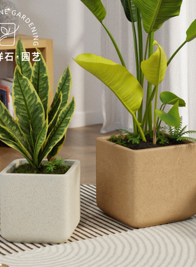 方形镁泥花盆轻奢高级感家用水泥花盆白色绿植盆栽龙血树龟背竹大