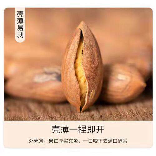 2025年新鲜采摘暨东开口笑香榧