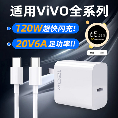 【120W功率】适用VIVOIQOO充电器
