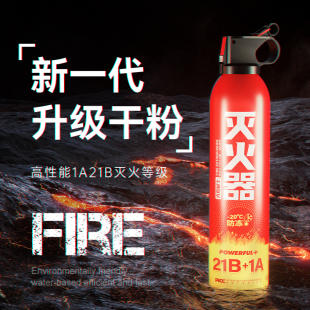 英甲新国标干粉灭火器车载车用家用私家车小型消防高温防爆3c