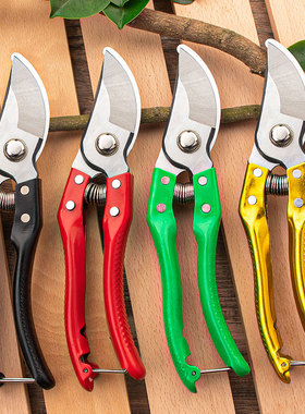 SK5粗枝剪园林园艺修枝剪修花枝剪果树剪花卉稀果剪采摘水果神器