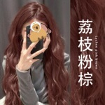 荔枝粉棕色染发剂膏免漂红棕色泡泡沫天然植物纯正品牌女玫瑰粉棕