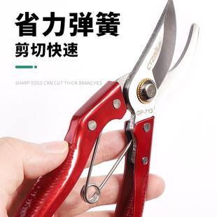 园艺剪枝剪刀修枝剪果树不锈钢园林花艺剪子工具修剪树枝剪刀花剪