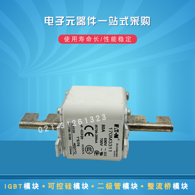 快速熔断器保险丝170M3469 3470 3471 3472 3473 3488 3489 3490
