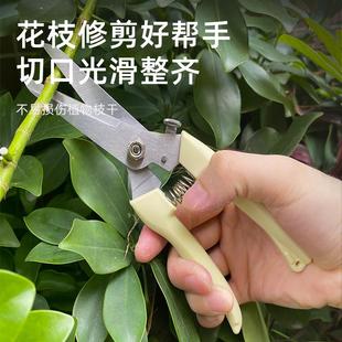 花艺师插花专用剪刀修枝剪园艺花枝花卉修剪树枝盆景鲜花剪子工具