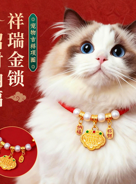 猫咪平安长命锁项圈无声新年高颜值狗狗项链红绳装饰宠物脖圈配饰
