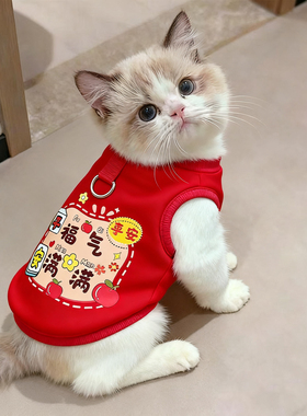 新年猫咪衣服冬装2026新款加厚保暖过冬专用可爱背心无毛猫防掉毛