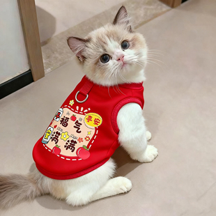 新年猫咪衣服冬装 加厚保暖过冬专用可爱背心无毛猫防掉毛 2025新款