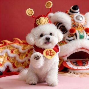 狗狗新年围巾宠物围脖红色喜庆财神帽口水巾围兜猫咪新年装饰品