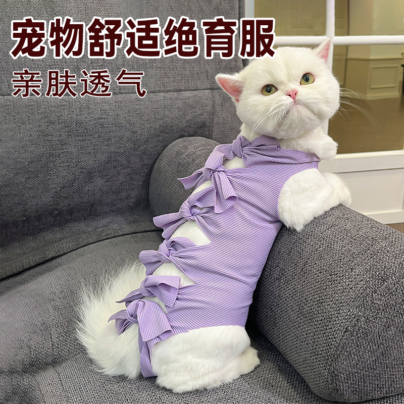 宠物猫咪绝育服手术后用药服断奶透气生理裤防舔骚扰衣服术后衣服