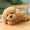 Mi Scarf Dog Small 27cm