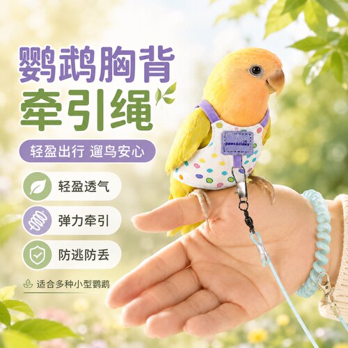 【新品热销10万+】鹦鹉牵引衣服