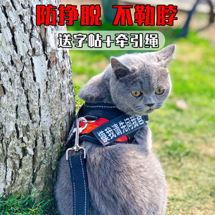 猫咪牵引绳防挣脱外出专用不勒脖遛猫绳小型犬宠物胸背带狗猫链子