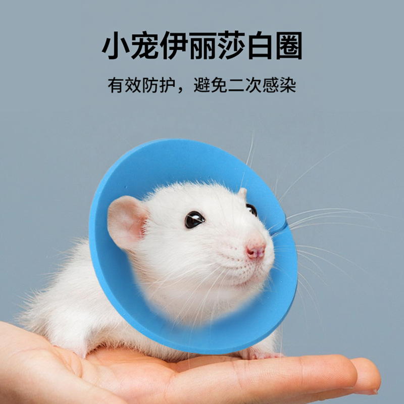 仓鼠小宠伊丽莎白圈兔子绝育防水圈防舔防咬防抓防感染术后防护罩