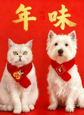 2026马年宠物围脖猫咪狗狗秋冬季保暖红色围巾喜庆可爱配饰装饰品