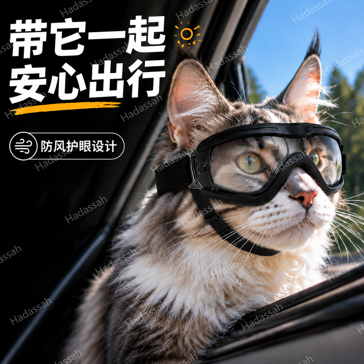 猫咪护目镜宠物骑行专用墨镜防晒防紫外线中小型犬小狗狗防风眼镜