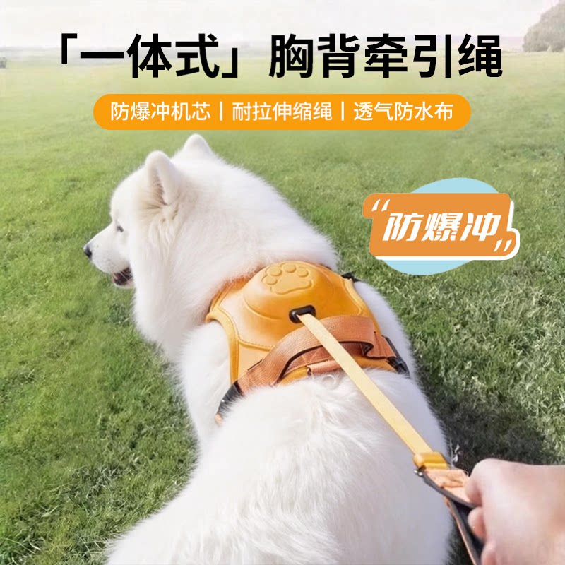 中大型犬狗牵引绳胸背一体自动防爆冲萨摩耶边牧专用可伸缩遛狗绳