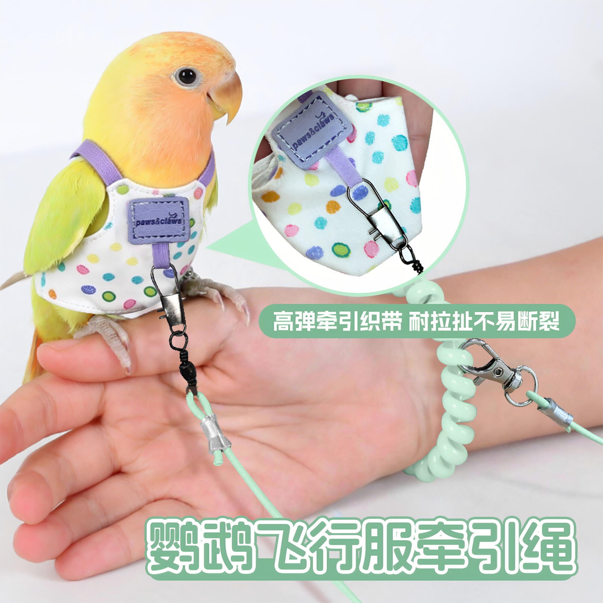 鹦鹉胸背带牵引绳超轻遛鸟外出背带玄风虎皮放飞绳牵引防丢飞行服
