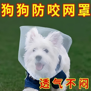 狗狗防误食偷吃头纱面罩舒适透气中小型犬嘴套小狗防舔防咬网纱套