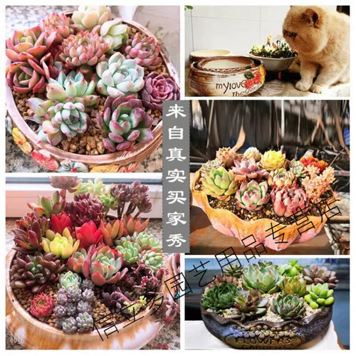 Большой керамический цветочный горшок, простой и элегантный дизайн