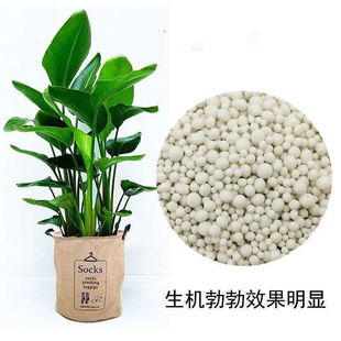 15-15-15氮磷钾缓释复合肥花卉蔬菜果树通用肥料瓜果蔬菜通用肥复