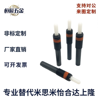 ZAP17重载型弹树脂头 弹簧柱塞 压力伸缩定位销 弹簧销NPJH4/5