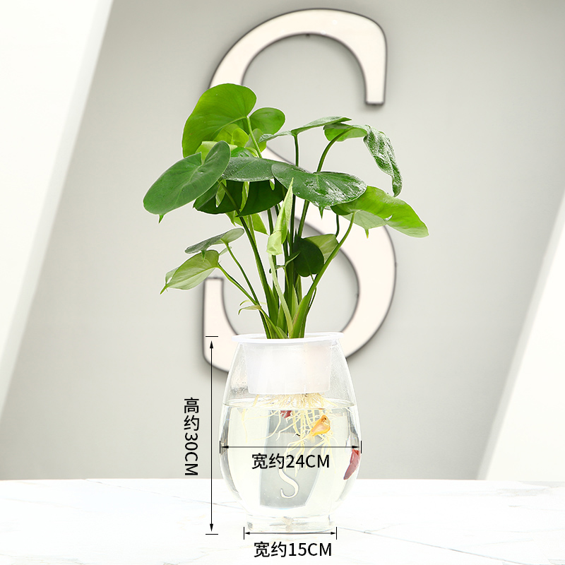 水培懒人植物基地直发