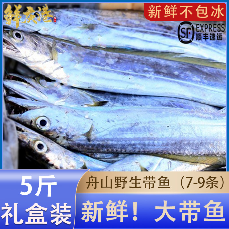 舟山带鱼整条新鲜冷冻特级礼盒