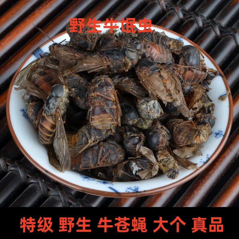 中药材牛氓虫特级真品牛苍蝇野生牛蚊子忙虫大个药用新货瞎蚂蜂
