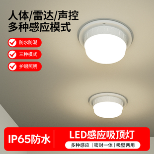 智能LED人体雷达感应灯玄关吸顶灯楼梯楼道过道走廊入户门自动灯