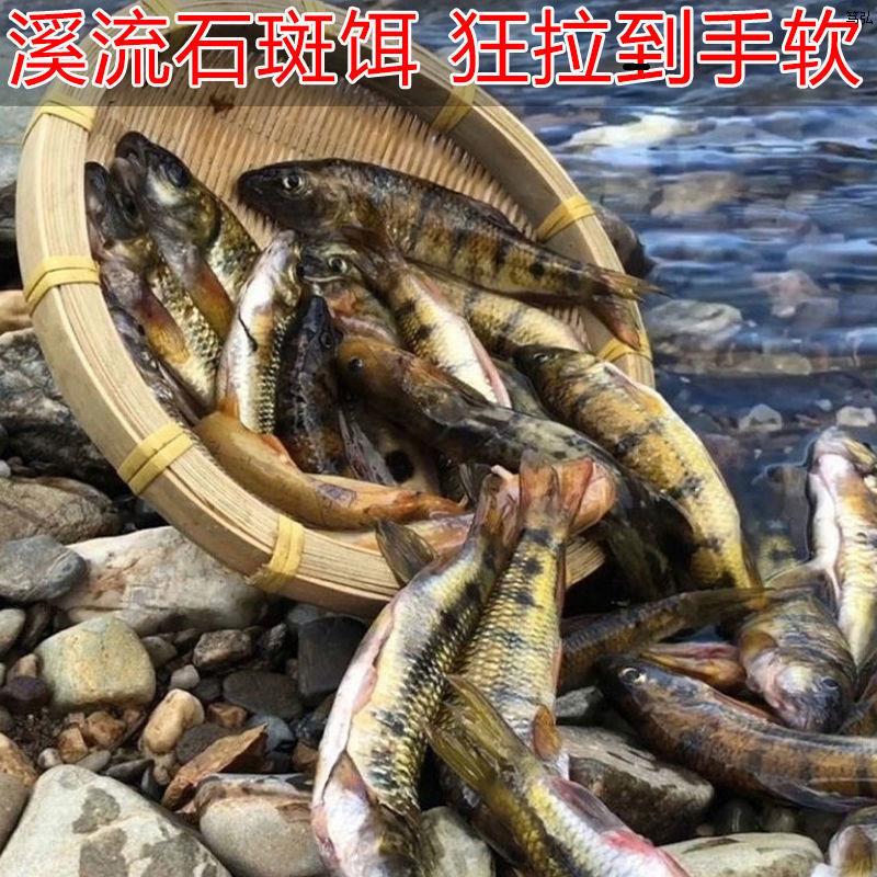 全能钓石斑鱼饵料黑坑野钓溪鱼饵鱼料溪石班鱼鱼饵石斑光唇鱼饵料